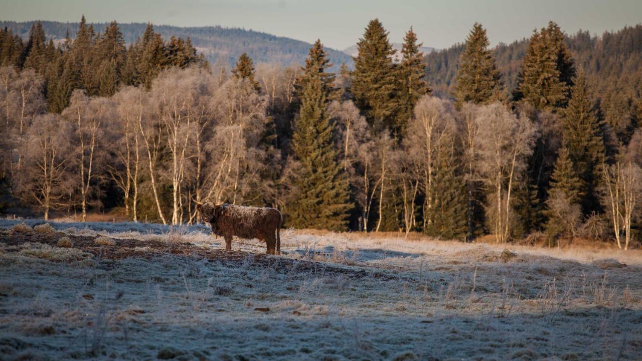 Apartmán Penzion Horska Kvilda Exteriér fotografie