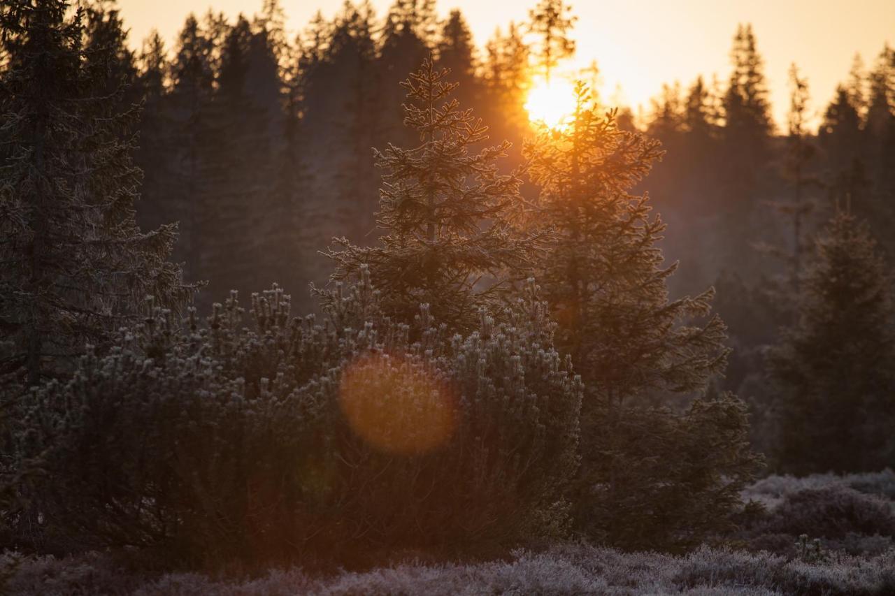 Apartmán Penzion Horska Kvilda Exteriér fotografie