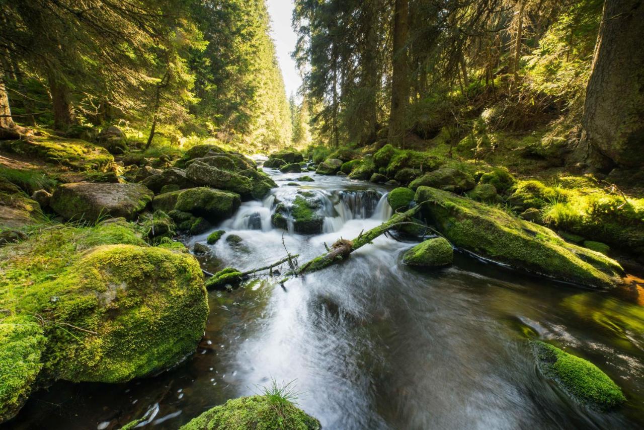 Apartmán Penzion Horska Kvilda Exteriér fotografie