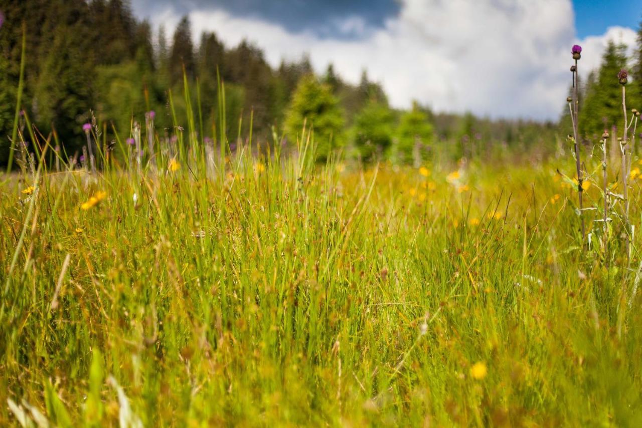 Apartmán Penzion Horska Kvilda Exteriér fotografie