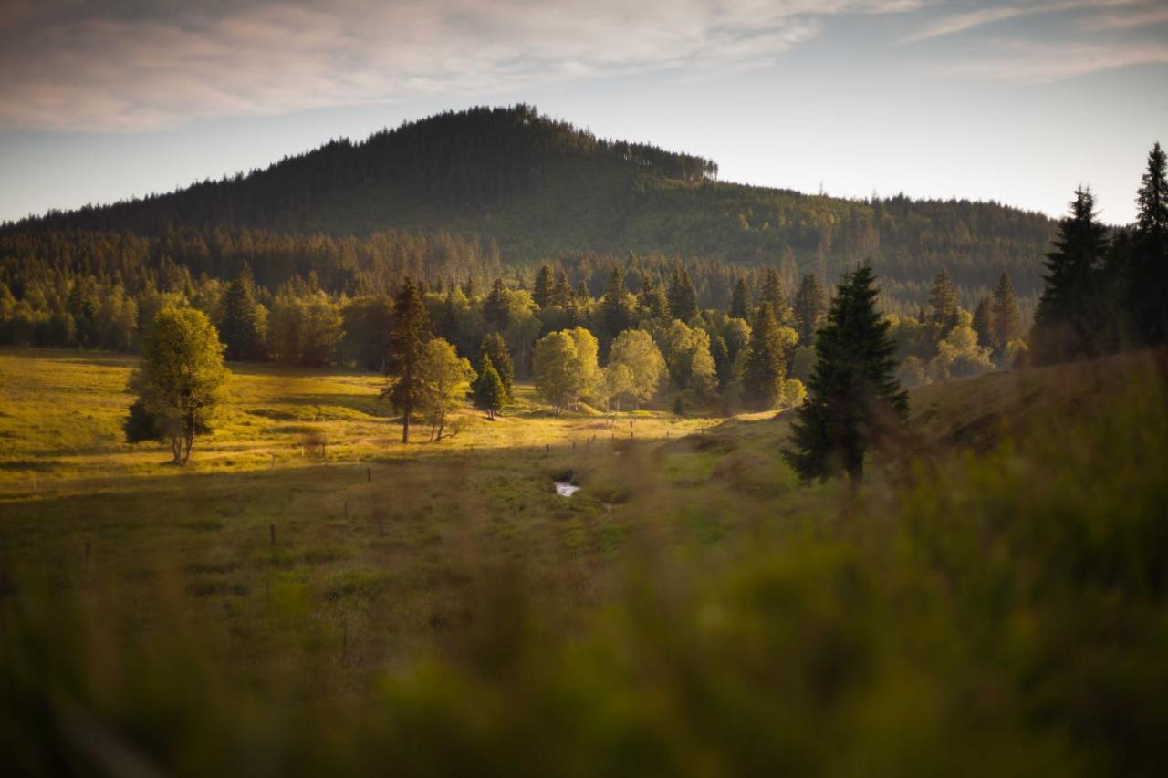 Apartmán Penzion Horska Kvilda Exteriér fotografie